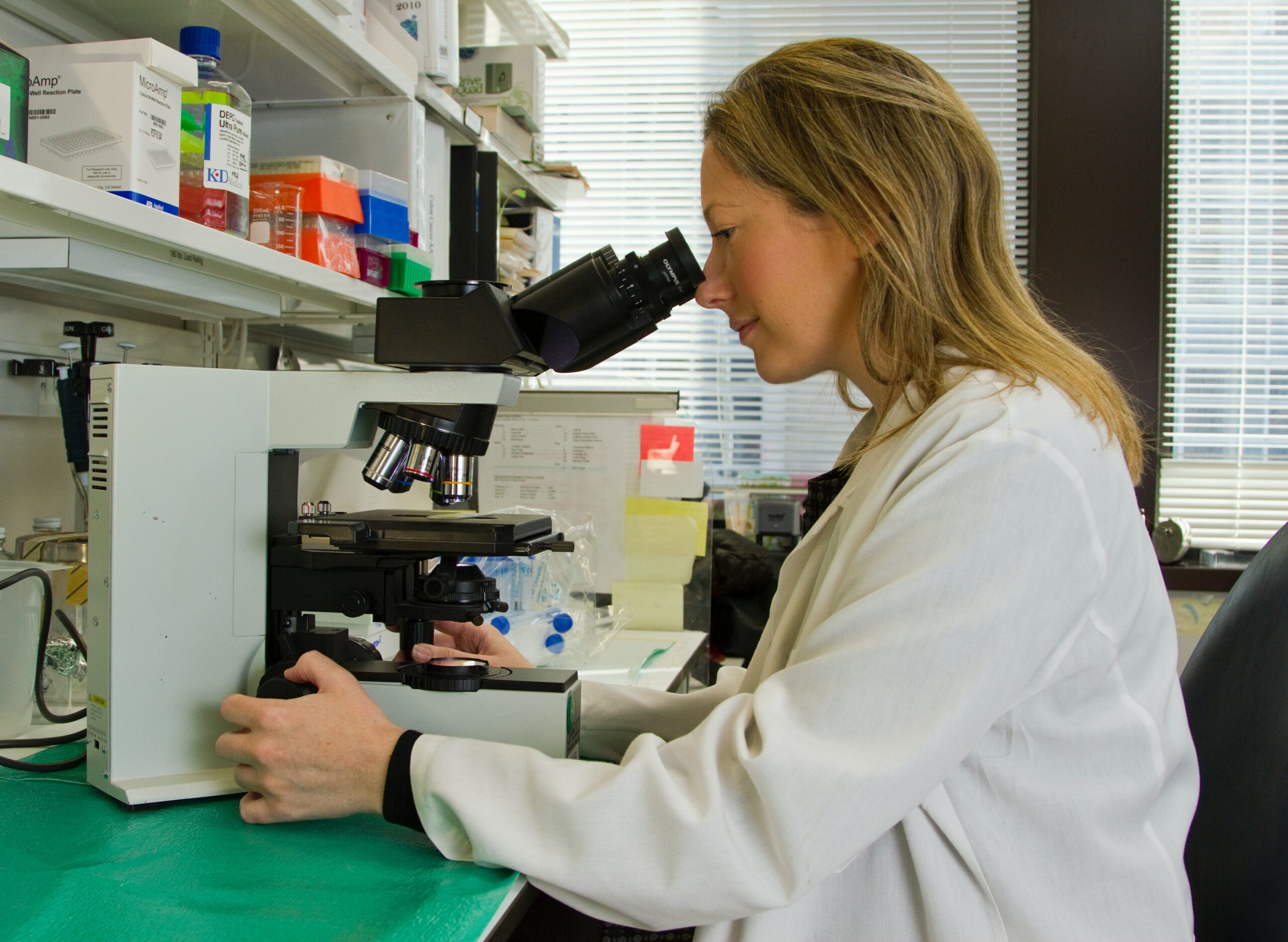 A female scientist in a laboratory looks through a microscope